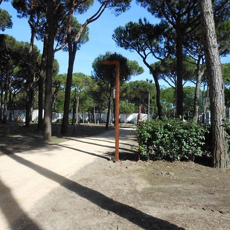 Albatross Mobile Homes On Camping Waikiki Lido di Jesolo Eksteriør bilde
